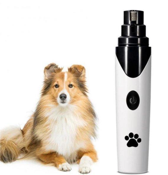 Come prendersi cura delle unghie dei cani e gatti - SuperCucciolo