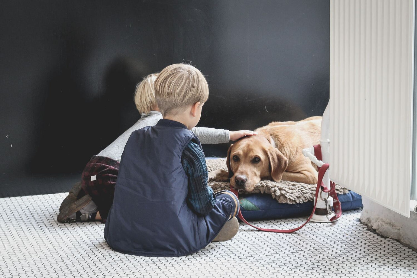 Cani e bambini: Come favorire una relazione sicura e armoniosa - SuperCucciolo