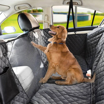 Sicurezza in Auto | SuperCucciolo